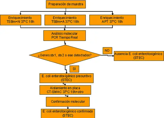 esquema metodo stec