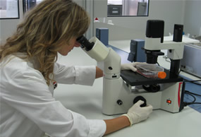 ainia_laboratorio_acreditado_face_deteccion_gluten