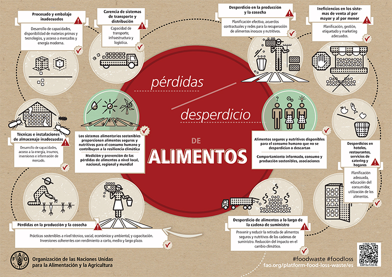 Food loss-food waste-highres-es_