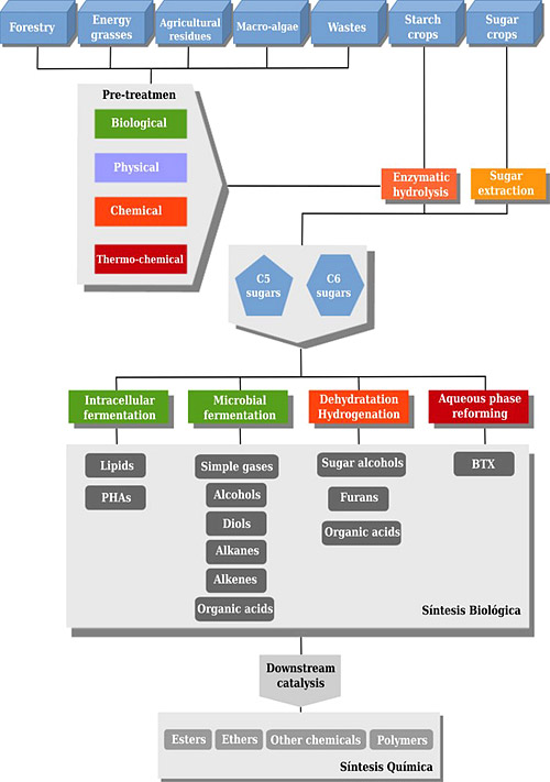 Generación de bioproductos