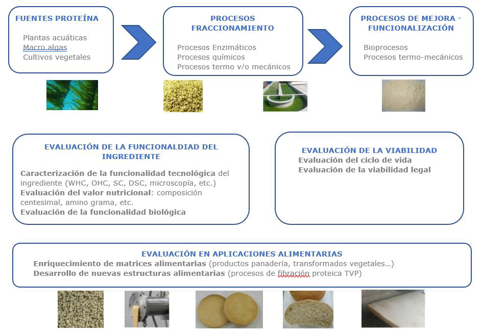 proyecto proalt