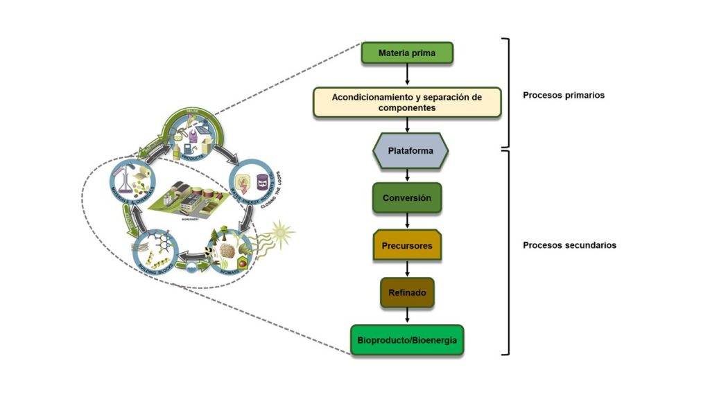 Las biorrefinerías, una apuesta firme hacia la (bio)economía circular