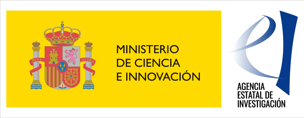 MICIN AEI Logo