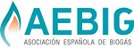 AEBIG