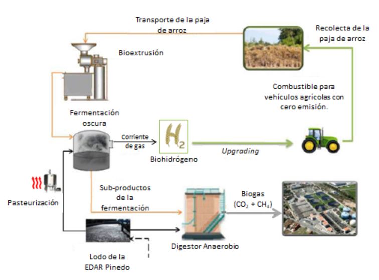 Proyecto LIFE REPTES Objetivos