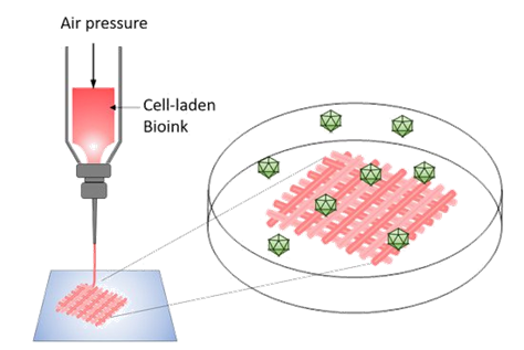 Bioimpresión 3D