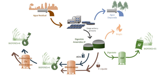 Representación esquemática de BIOFERES.