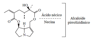 Alcaloide pirrolicidílico