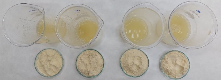 extracciones con Fluidos Supercríticos 