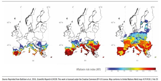 mapa riesgos aflatoxinas maiz