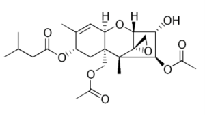 toxina T-2