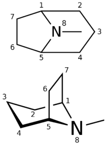 estructura química del propani