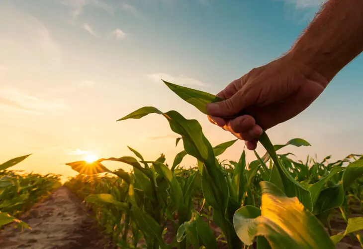 legislación alimentación